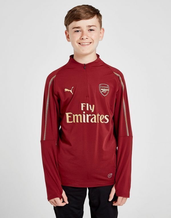 Puma Arsenal Fc 1/4 Zip Training Top Punainen