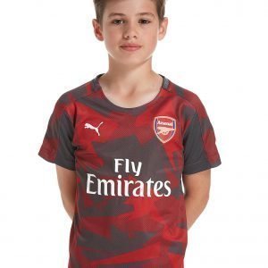 Puma Arsenal Fc 2017 Stadium Shirt Punainen