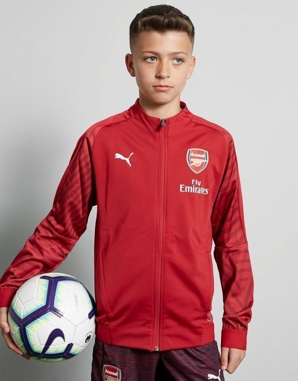 Puma Arsenal Fc Stadium Jacket Punainen