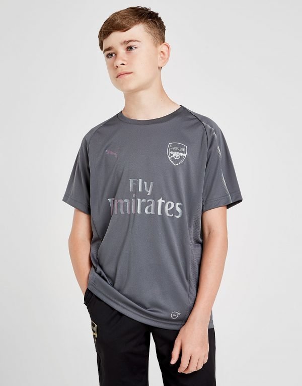 Puma Arsenal Fc Training Shirt Harmaa