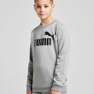 Puma Core Logo Crew Sweatshirt Harmaa