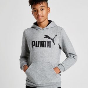 Puma Core Logo Huppari Harmaa