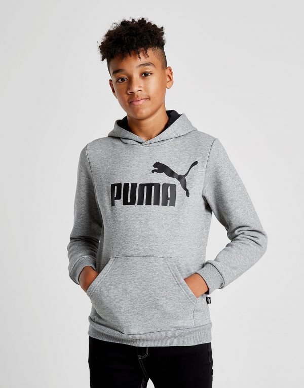 Puma Core Logo Huppari Harmaa