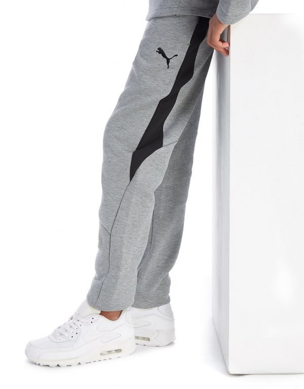 Puma Evostripe Pants Harmaa