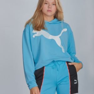 Puma Sports Hoody Huppari Sininen