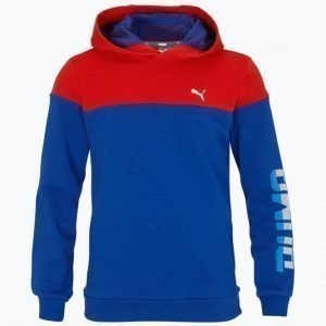 Puma Style Hooded Sweat Huppari