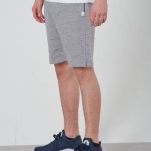 Quiksilver Felicis Short Youth Shortsit Harmaa