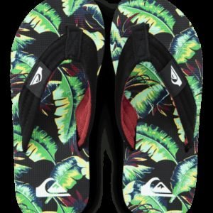 Quiksilver Molokai Sandal Varvastossut