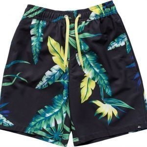 Quiksilver Uimashortsit Frames Jungle Juice Youth