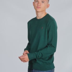 Ralph Lauren Ls Cn Po Tops Sweater Neule Vihreä