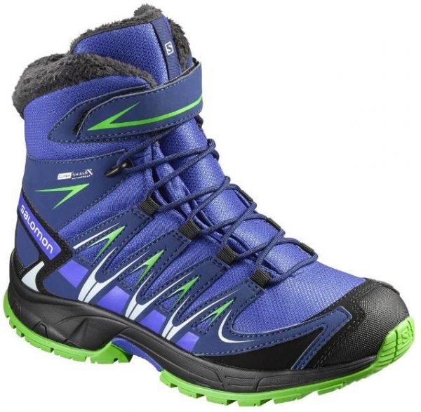 Salomon Xa Pro 3d Winter Cswp Talvilenkkarit Sininen