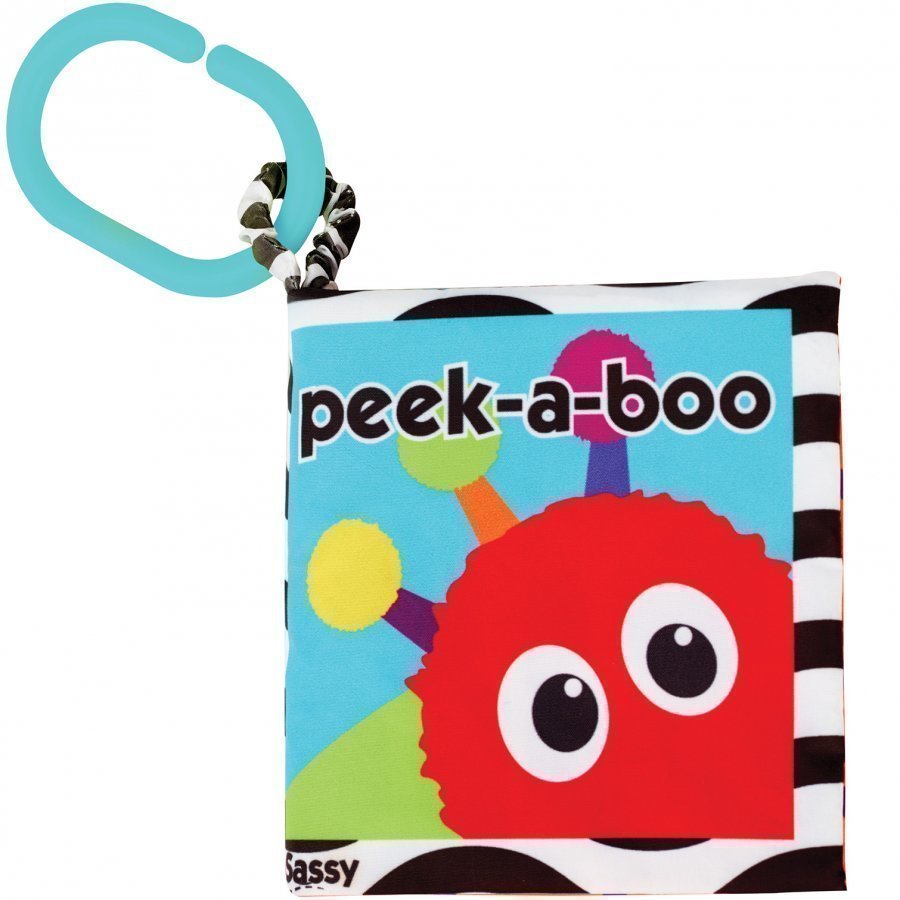 Sassy Peek-A-Boo Book Aktiviteettikirja