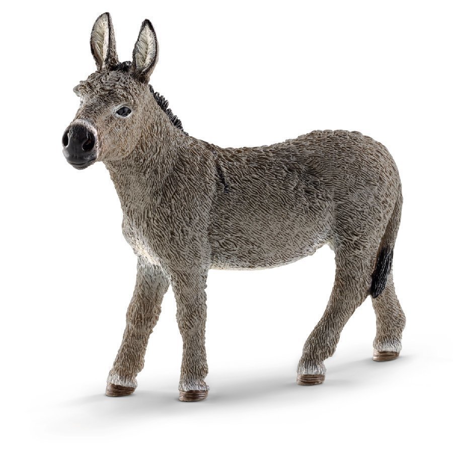 Schleich Aasi 13772