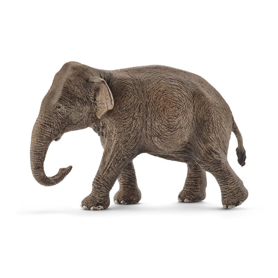 Schleich Aasiannorsu Naaras 14753