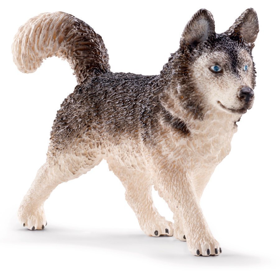 Schleich Husky 16835