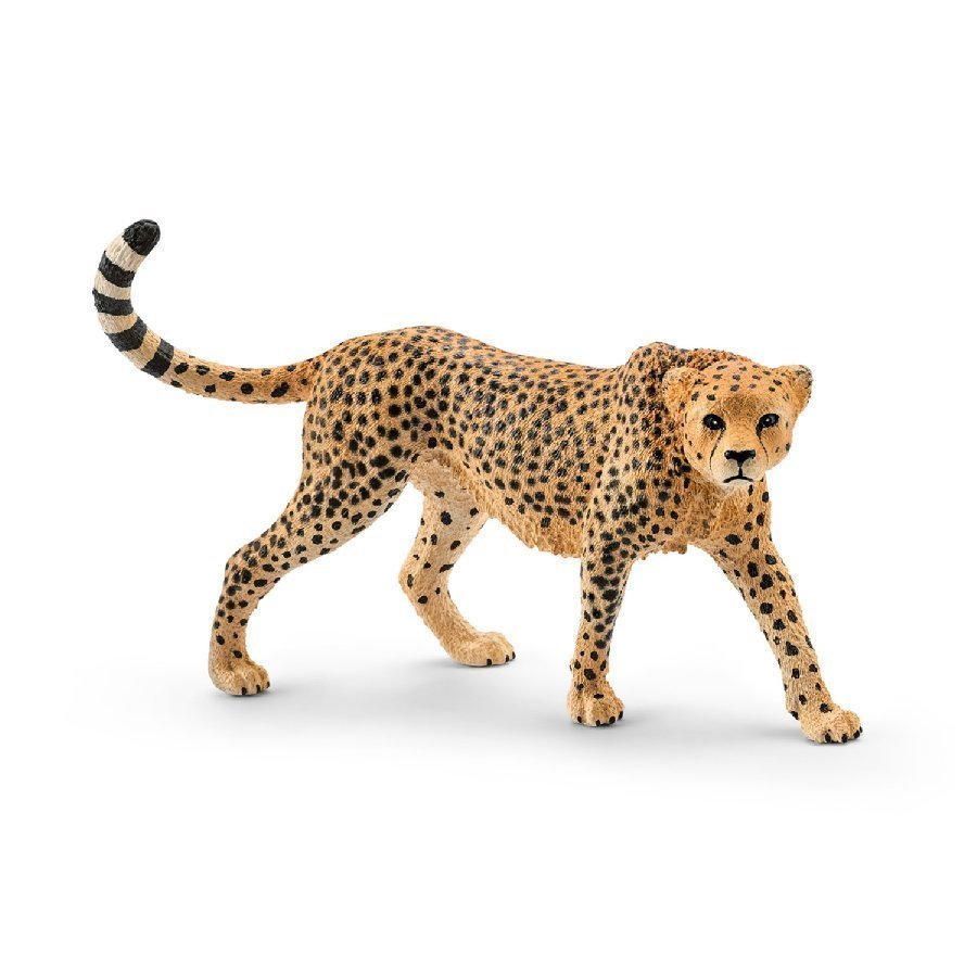 Schleich Naarasgepardi 14746