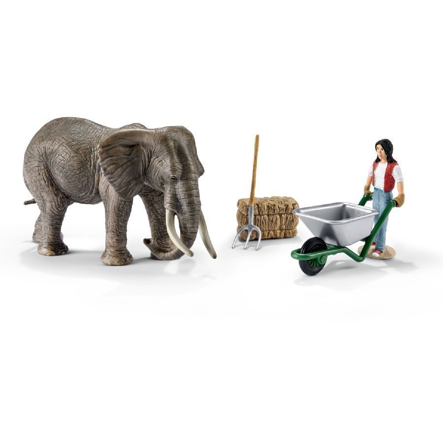 Schleich Norsunhoitosarja 41409