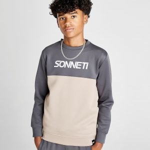 Sonneti Echo Crew Sweatshirt Harmaa