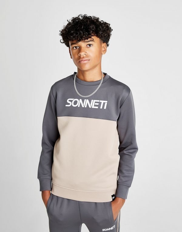 Sonneti Echo Crew Sweatshirt Harmaa