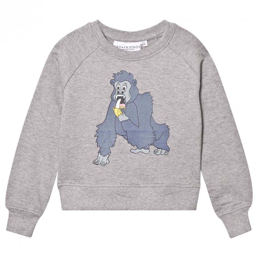 Tao & Friends Gorillan Sweatshirt Grey Oloasun Paita