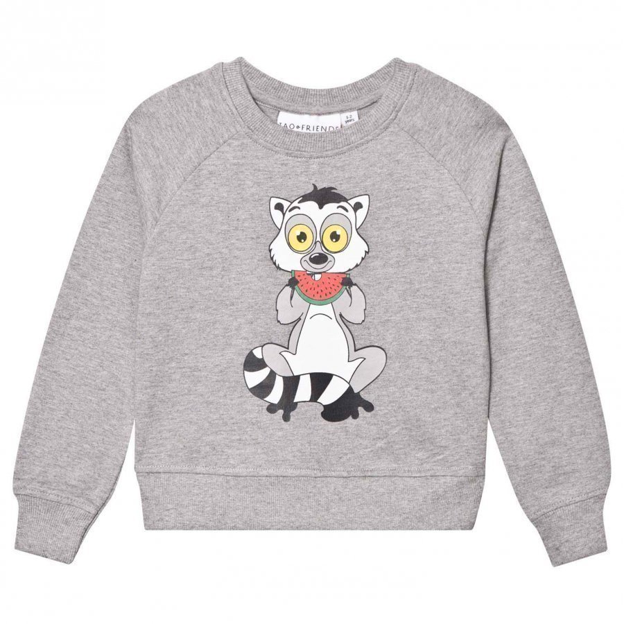 Tao & Friends Lemuren Sweatshirt Grey Oloasun Paita