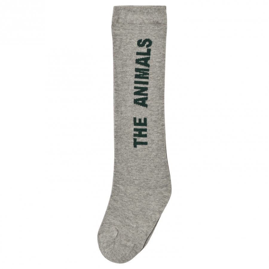 The Animals Observatory Worm Socks Grey Rock Sukat