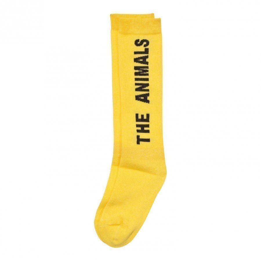 The Animals Observatory Worm Socks Yellow Sukat