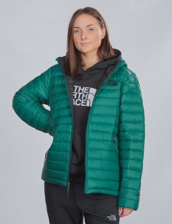 The North Face Aconcagua Down Hoodie Takki Vihreä