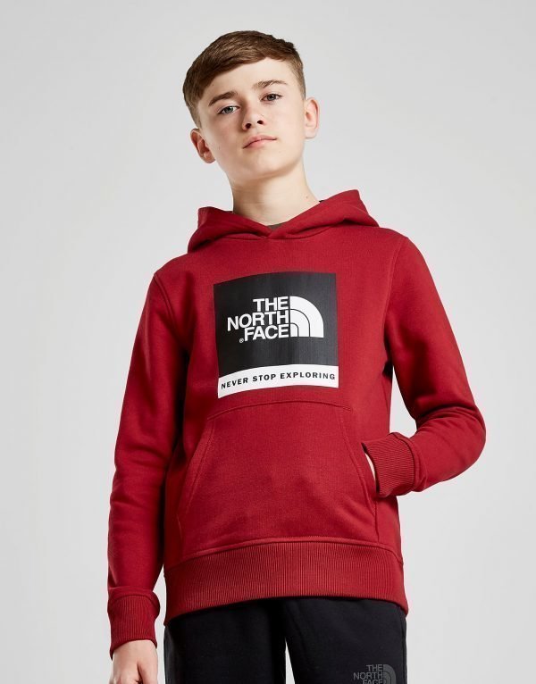 The North Face Box Logo Overhead Huppari Punainen