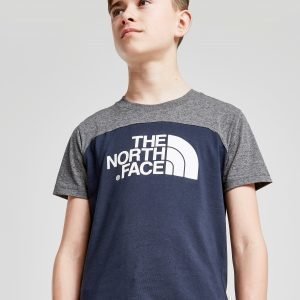 The North Face Colour Block Logo T-Shirt Laivastonsininen