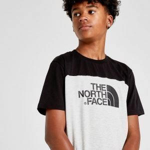 The North Face Colour Block T-Shirt Musta