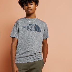 The North Face Easy T-Shirt Harmaa