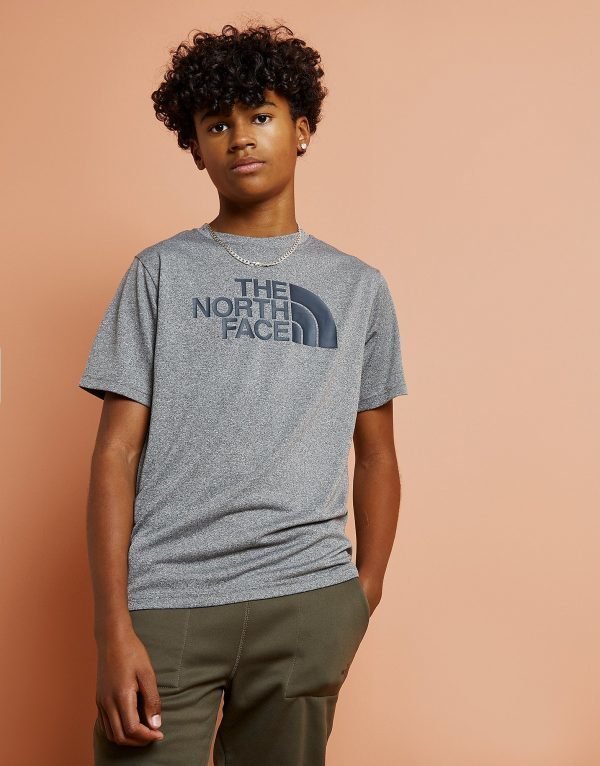 The North Face Easy T-Shirt Harmaa