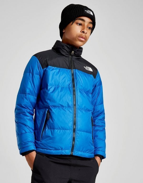 The North Face Nuptse Takki Sininen