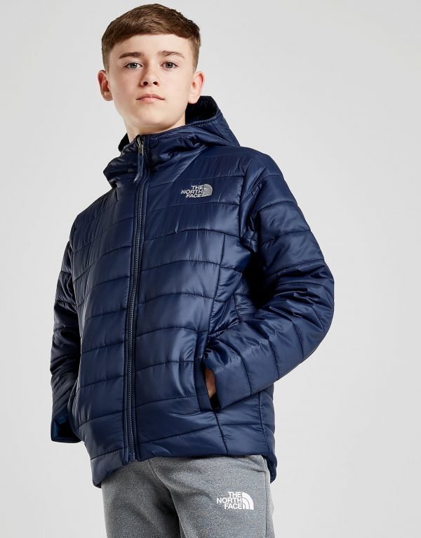 The North Face Perrito Takki Sininen