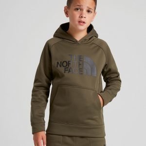 The North Face Surgent Hoodie Vihreä