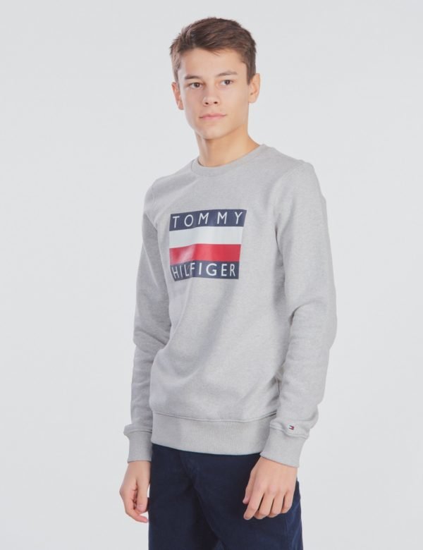 Tommy Hilfiger Essential Hilfiger Sweatshirt Neule Harmaa