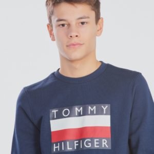 Tommy Hilfiger Essential Hilfiger Sweatshirt Neule Sininen