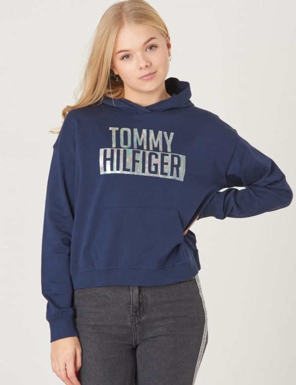 Tommy Hilfiger Essential Logo Hoodie Huppari Sininen