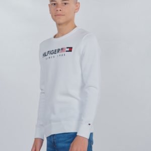 Tommy Hilfiger Hilfiger Flag Sweater Neule Valkoinen