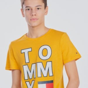 Tommy Hilfiger Multi Application Aw Tee T-Paita Keltainen