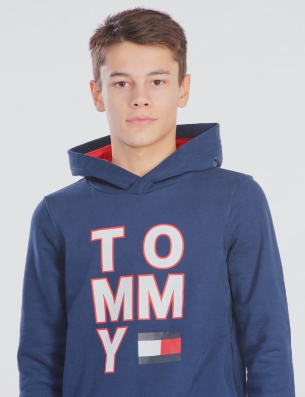 Tommy Hilfiger Multi Aw Graphic Hoodie Huppari Sininen