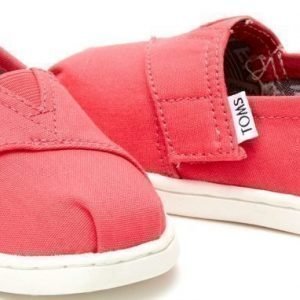 Toms Tennarit Canvas Barberry Pink