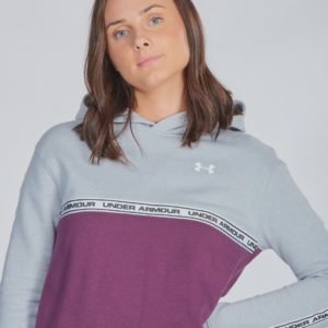 Under Armour Sportstyle Fleece Hoodie Huppari Harmaa