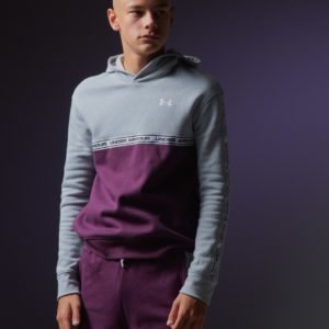 Under Armour Sportstyle Fleece Hoodie Huppari Harmaa