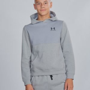 Under Armour Ua Cotton Fleece Hoodie Huppari Harmaa