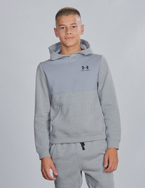 Under Armour Ua Cotton Fleece Hoodie Huppari Harmaa