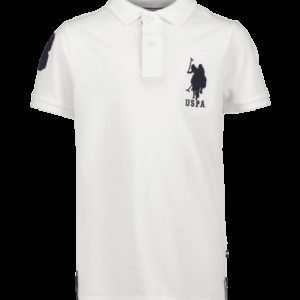 Us Polo Dhm Large Pique Polo Pikeepaita