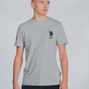 Us Polo Large Dhm T Shirt T-Paita Harmaa