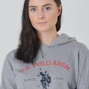 Us Polo Uspa Oth Hoody Huppari Harmaa